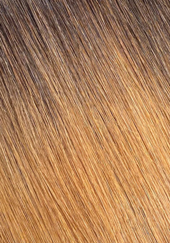 Dark Brown/Ash Brown (2/8) Ombre Clip-In Hair Extensions